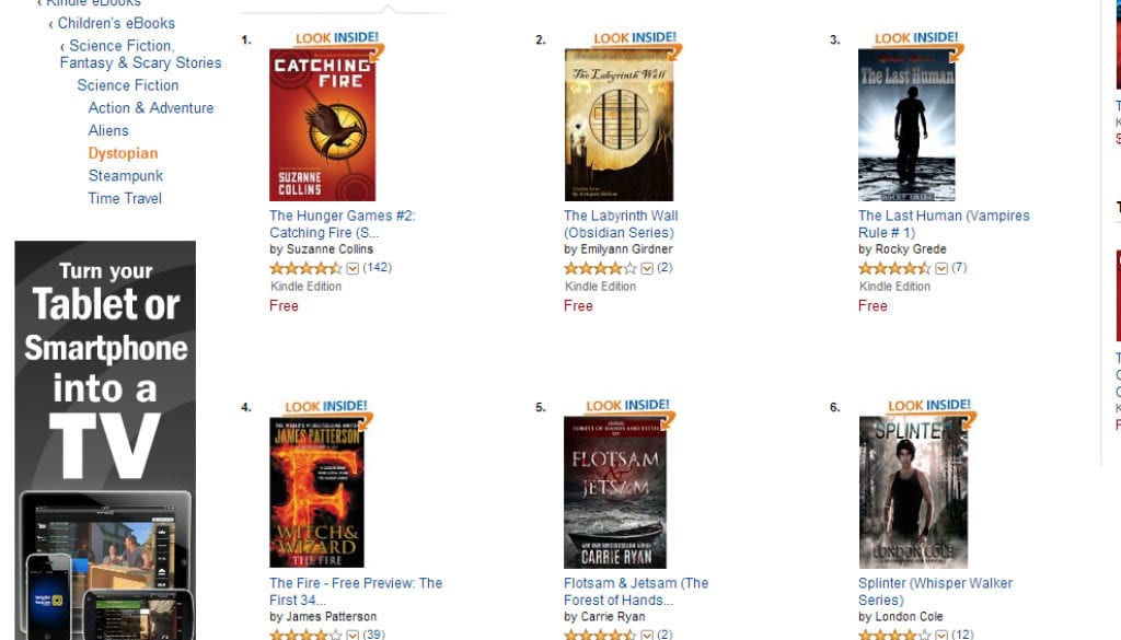 Emilyann Girdner #2 Amazon Best-Seller Next to Catching Fire