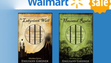 Walmart Fantasy Book Deal: The Labyrinth Wall & The Haunted Realm!