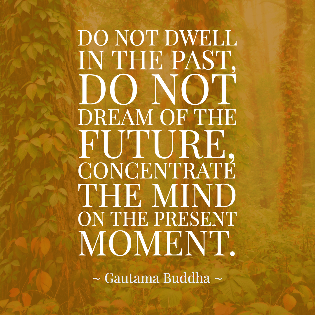 Past, Present, & Future Quotes Do not dwell in the past, do not dream of the future, concentrate the mind on the present moment. ~ Gautama Buddha